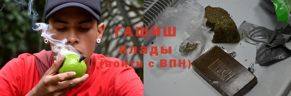 прущие грибы Балахна