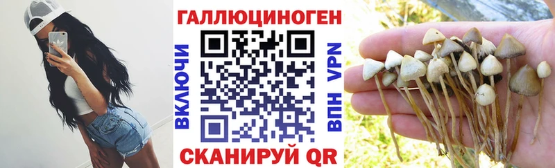 Галлюциногенные грибы мухоморы  как найти   Курильск 